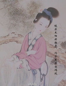 形容女子美貌的古詩(shī)句,形容女子有才又美貌的古詩(shī)句,形容男子美貌的古詩(shī)
