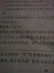 詩句,友情,有哪些