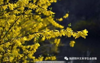 詩(shī)句,復蘇,萬(wàn)物,春風(fēng)