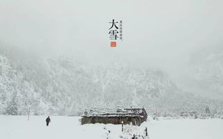 關于雪的詩句詞語