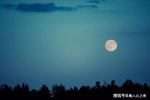 詩句,今夜