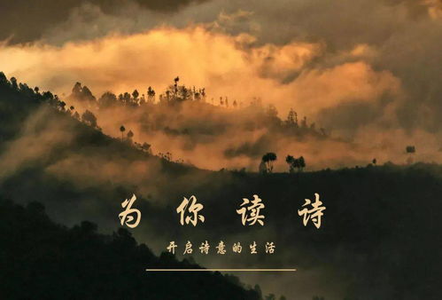 詩句,美麗,時(shí)間