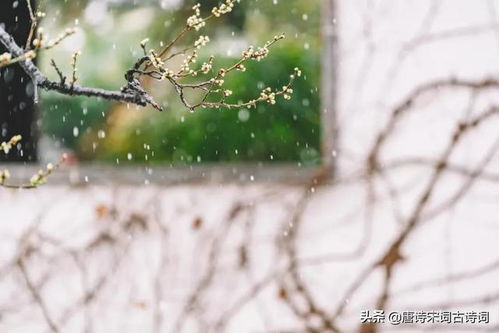 關(guān)于冬雨詩句古詩