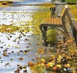 關于秋雨城市的詩句古詩
