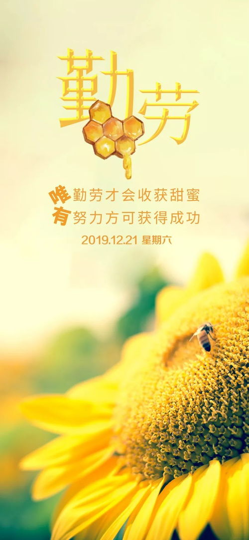 摘抄,詩(shī)句,激勵,大全