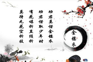 古詩(shī)中含有好的詩(shī)句