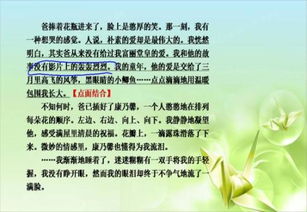 點面結合的一句古詩句