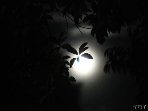 詩句,夜晚,白天和