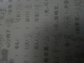 含有雨的詩(shī)句古詩(shī),寫(xiě)雨的詩(shī)句古詩(shī),雨有關(guān)詩(shī)句古詩(shī)