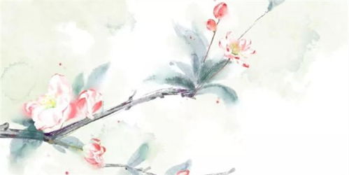 杜甫蝴蝶蜻蜓的詩(shī)句,蜜蜂蝴蝶蜻蜓的詩(shī)句,杜甫描寫蝴蝶和蜻蜓的詩(shī)句