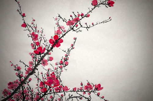 李璟描寫(xiě)丁香花的詩(shī)句和古詩(shī)