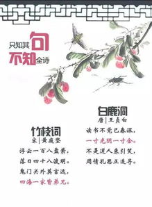 關(guān)于建言的古詩句