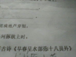 青松詩句古詩