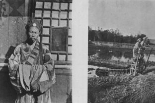 關(guān)于長(cháng)江長(cháng)城的詩(shī)句