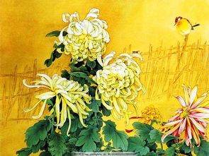 意象,詩句,菊花,品質