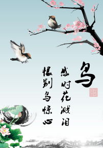 關(guān)于鳥的詩句古詩四句