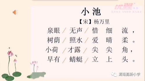 關于校園的詩句大全集