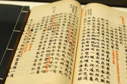 古詩(shī)中有成語(yǔ)的詩(shī)句