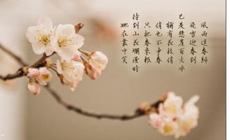 詩(shī)句,相聚,希望,朋友