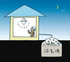 關(guān)于節約能源的詩(shī)句