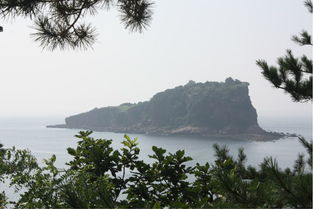 詩句,棒棰島