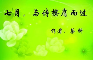 擦肩而過的古詩句,描寫山的古詩句,描寫春節(jié)的古詩句