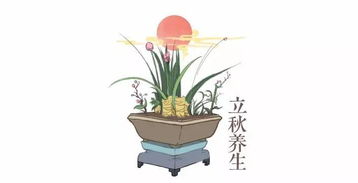 立秋,詩句,喝酒