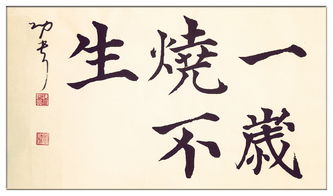 白居易寫(xiě)的關(guān)于小草的詩(shī)句,白居易贊美小草的詩(shī)句,白居易稱贊小草的詩(shī)句