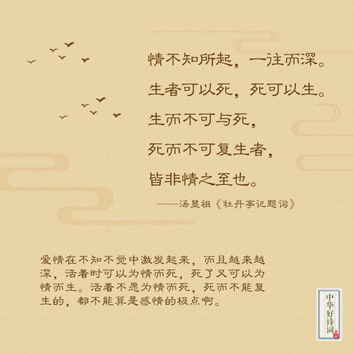詩句,心疼