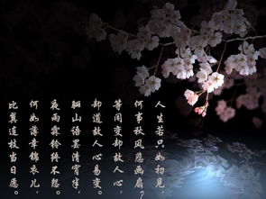 關(guān)于珍惜詩句的古詩句