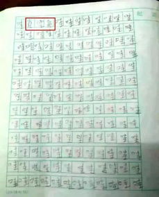 關(guān)于與詩(shī)句有關(guān)的作文