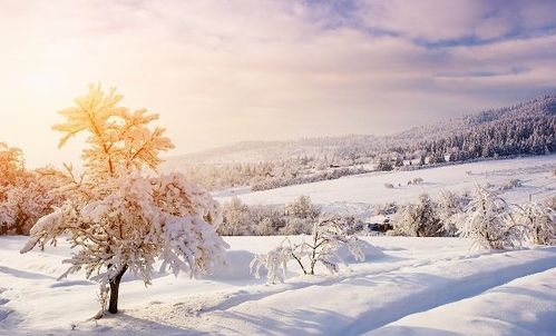 關于雪的詩句古詩詞初一