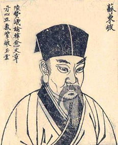 蘇軾關(guān)于堅強的詩(shī)句