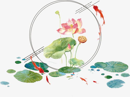 關(guān)于荷葉荷花池塘有關(guān)的詩句