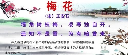 夏天描寫(xiě)花的詩(shī)句古詩(shī)大全