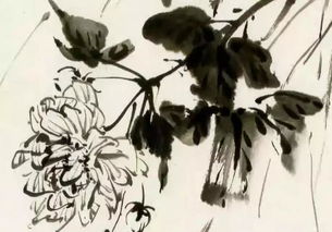 關(guān)于好學(xué)的古詩,好學(xué)的古詩名句,關(guān)于好學(xué)的古詩五言絕句