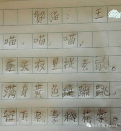 詩句,作者