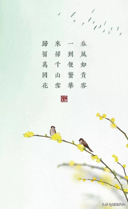 關(guān)于花的春天詩(shī)句古詩(shī)