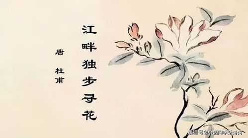 關(guān)于浣的詩句