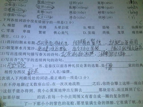 關(guān)請寫(xiě)出連續兩句關(guān)于蓮花的詩(shī)句