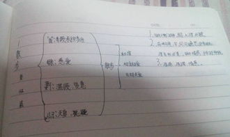 關(guān)于初一課文散步的詩句