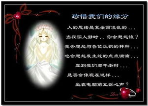 朋友緣分的古詩(shī)句