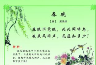 描寫(xiě)春天的詩(shī)句古詩(shī)三年級,描寫(xiě)春天的詩(shī)句古詩(shī)三年級下冊,關(guān)于描寫(xiě)春天的詩(shī)句古詩(shī)