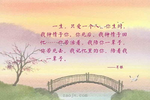 關(guān)于陪伴一生的詩(shī)句