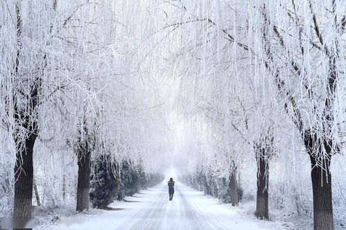 古詩(shī),詩(shī)句,風(fēng)雪,描寫