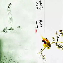唯美古詩句壽手