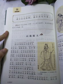 關(guān)于詩句書的作文