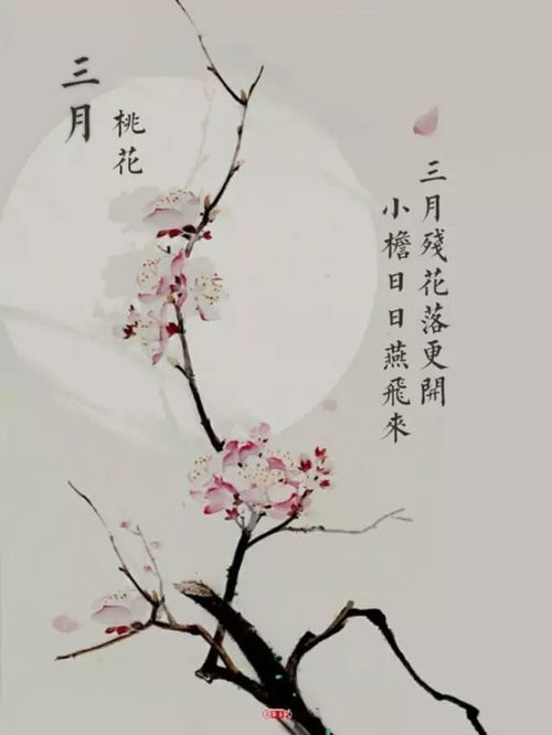 寫春花的古詩句