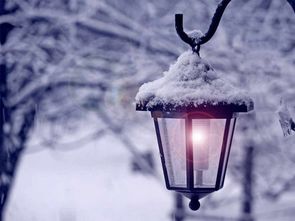 關(guān)于大雪的詩句i