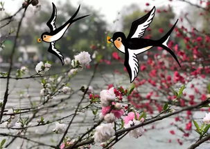 關于景色好的詩句